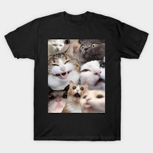 Cat collage T-Shirt